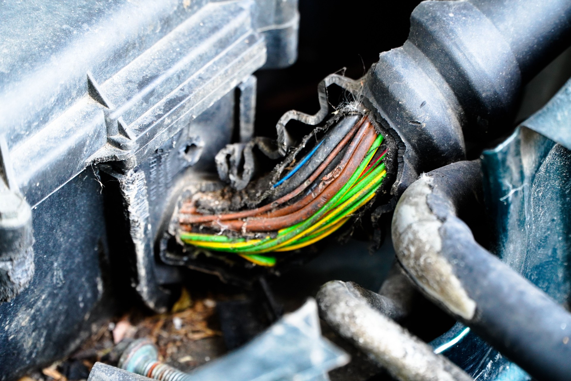 Damage on rubber of electricity wire in the car from rat bite