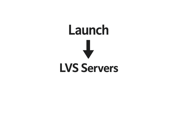 Change your Launch to LVS server
